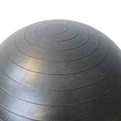 York Barbell 65cm Exercise Ball with a Pump