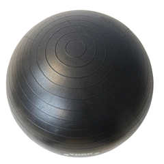 York Barbell 65cm Exercise Ball with a Pump