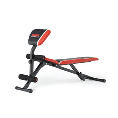 York Warrior 2 in 1 Dumbbell & Ab Bench with Curl, York Fitness