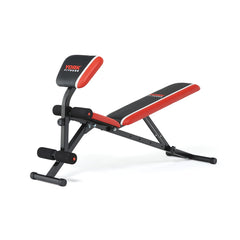 York Warrior 2 in 1 Dumbbell & Ab Bench with Curl, York Fitness