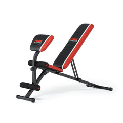 York Warrior 2 in 1 Dumbbell & Ab Bench with Curl, York Fitness
