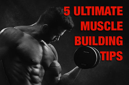 5 Ultimate Muscle Building Tips