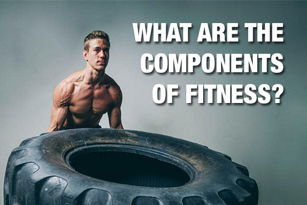 What are the Components of Fitness?